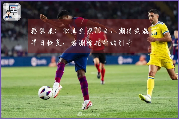 蔡慧康：职业生涯70分，期待武磊早日恢复，感谢徐指导的引导