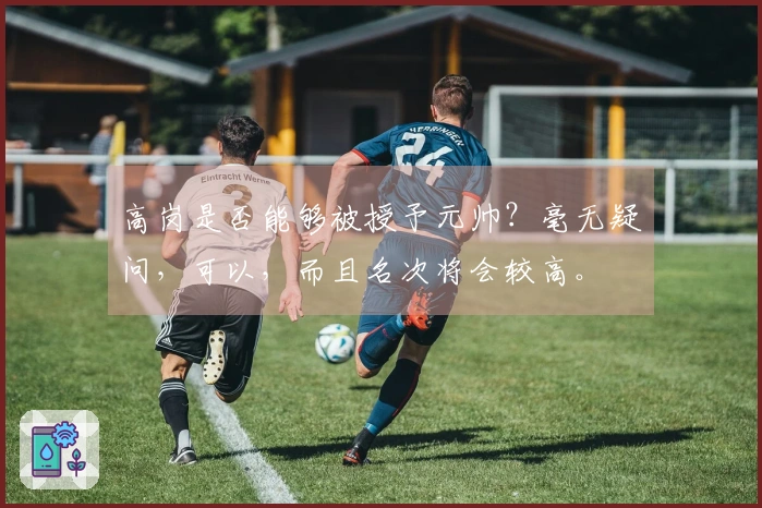 高岗是否能够被授予元帅？毫无疑问，可以，而且名次将会较高。