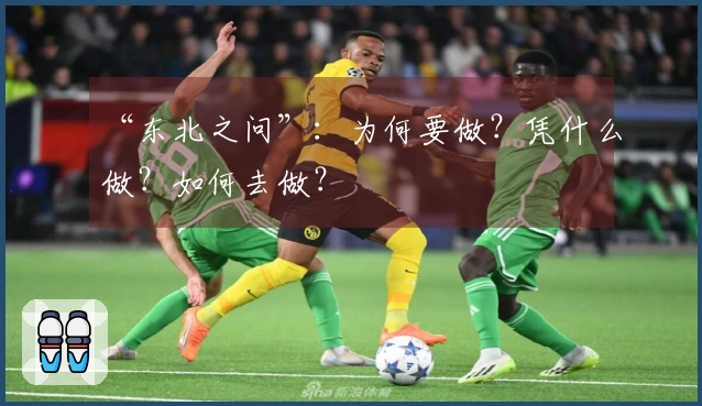“东北之问”：为何要做？凭什么做？如何去做？