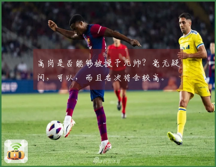 高岗是否能够被授予元帅？毫无疑问，可以，而且名次将会较高。